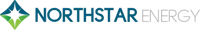 NSE logo