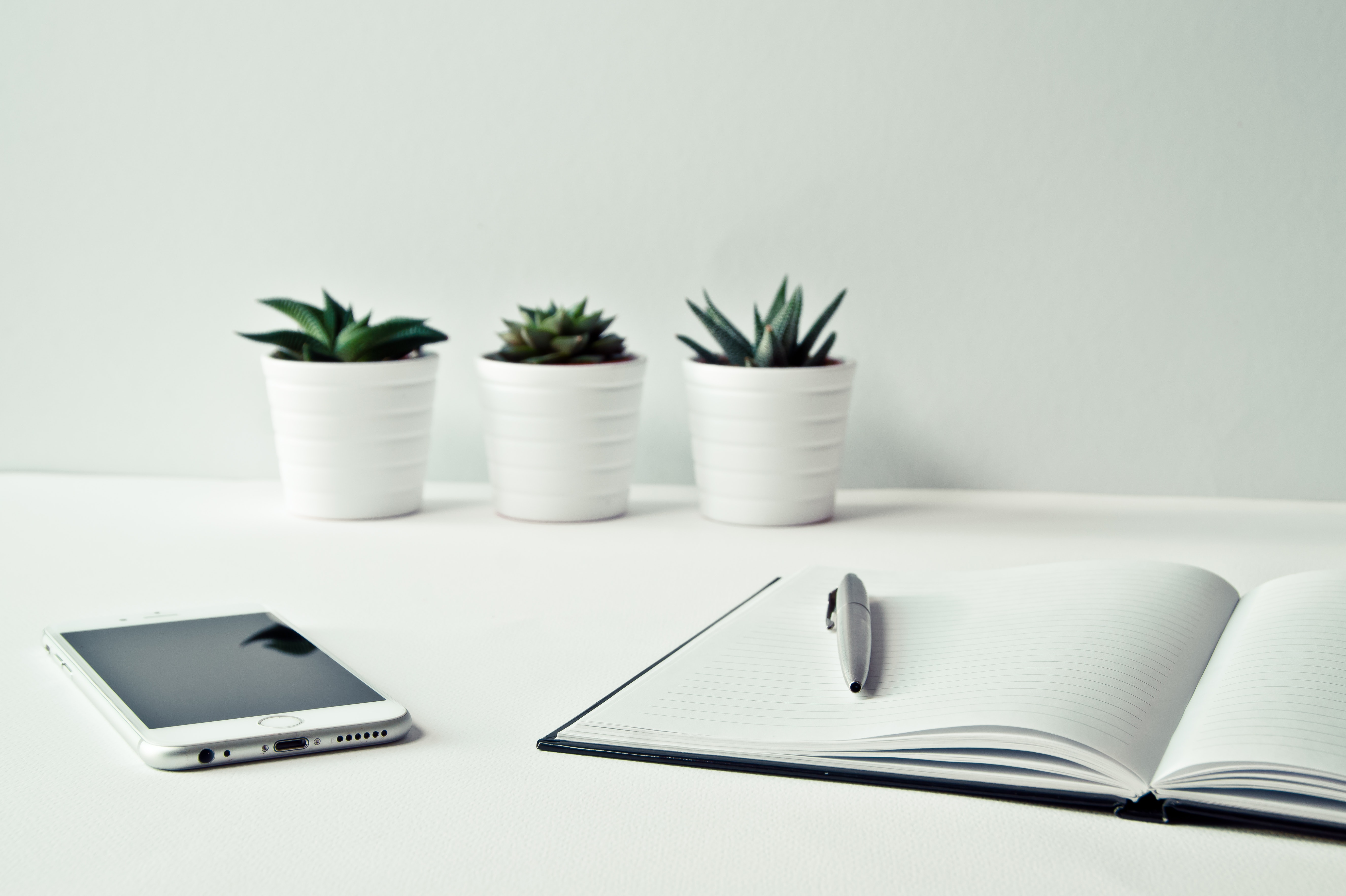 white desk with plants in the back
