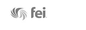 Financial Executives International logo